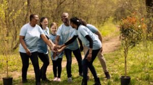 Diploma of Early Childhood Education and Care