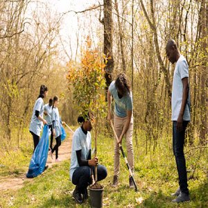 Diploma of Community Services